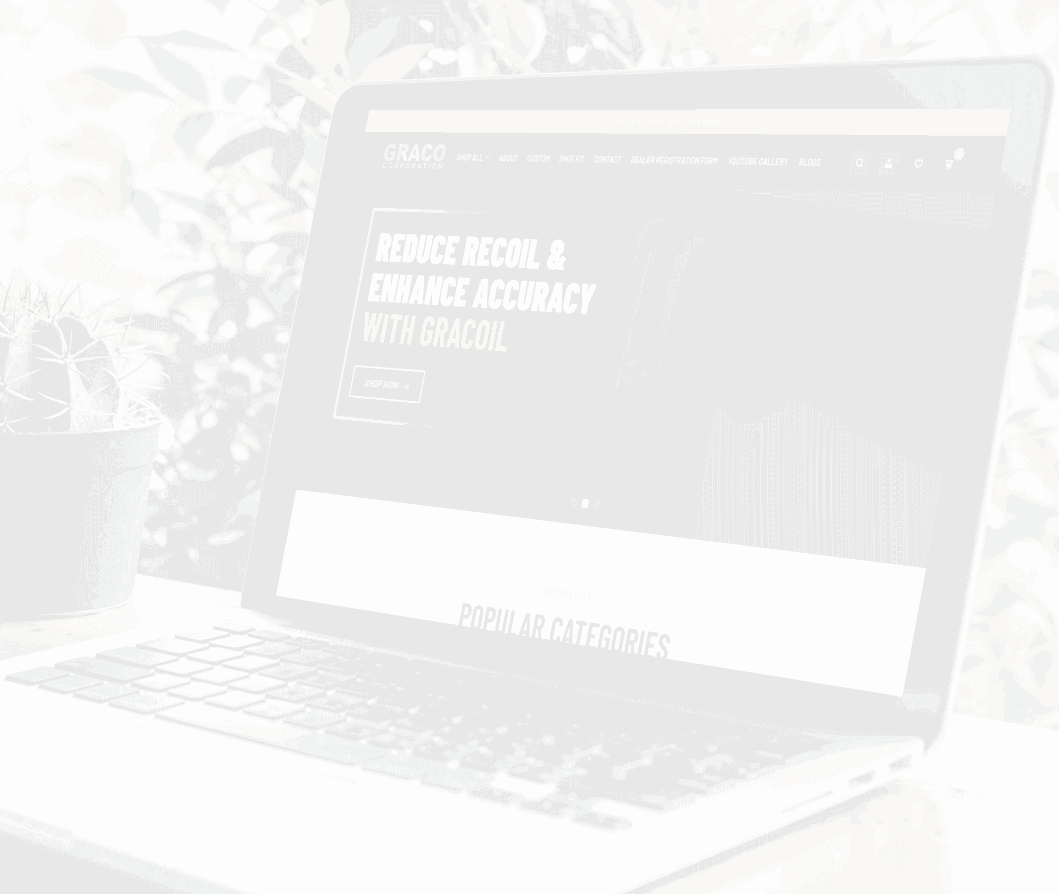 Kushel Digi Solutions - Trusted Web Development Services